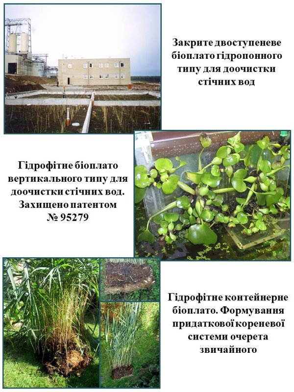 Гідрофітні системи