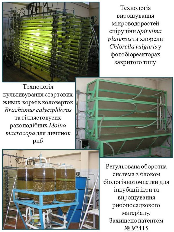 Культивування гідробіонтів