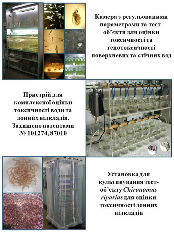 Системи для оцінки токсичності
